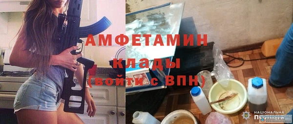 ГАЛЛЮЦИНОГЕННЫЕ ГРИБЫ Вязьма